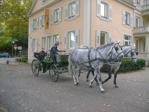 Berthold suite