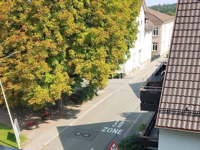 Gasthaus blume balg