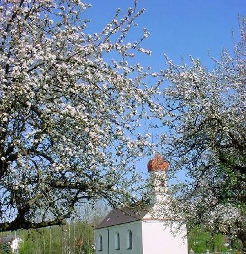 Brauhaus ummendorf