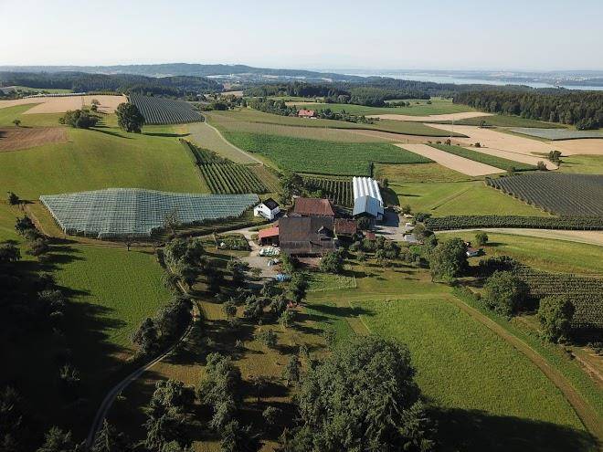Bauernhof stamm