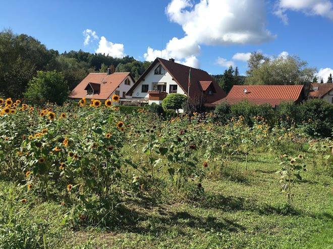 Gasthaus zum sternen bioland restaurant & hotel