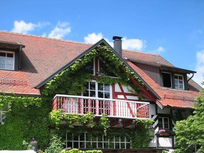 Landhotel gut greifhof