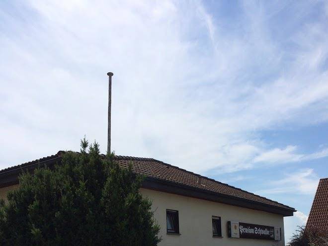 Weishaupt Anna Image