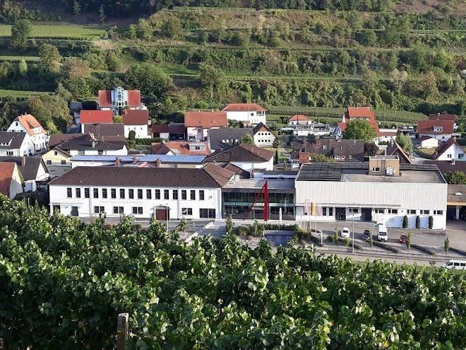 Bioweingut bertram isele