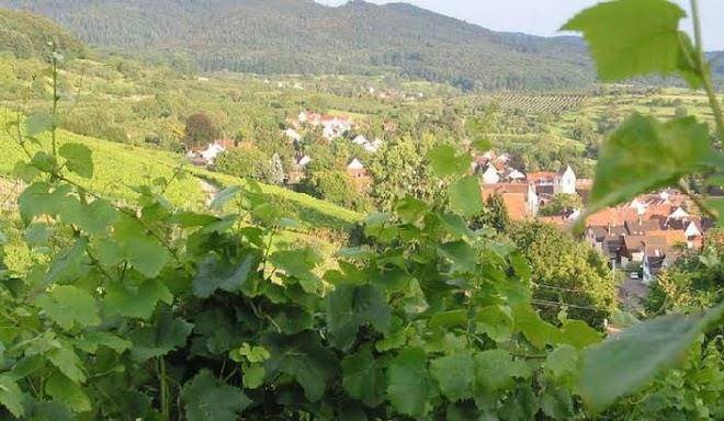 Ferienhaus steinger