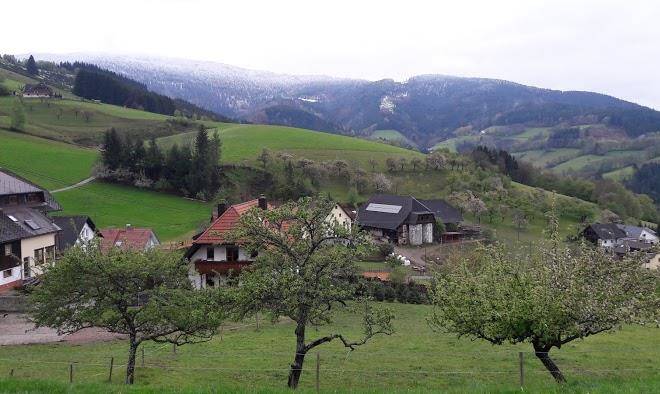 Ferienwohnungen maierhof
