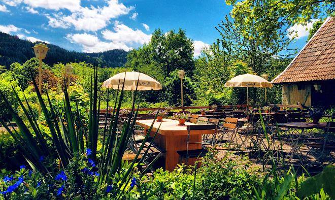 Gasthaus birke