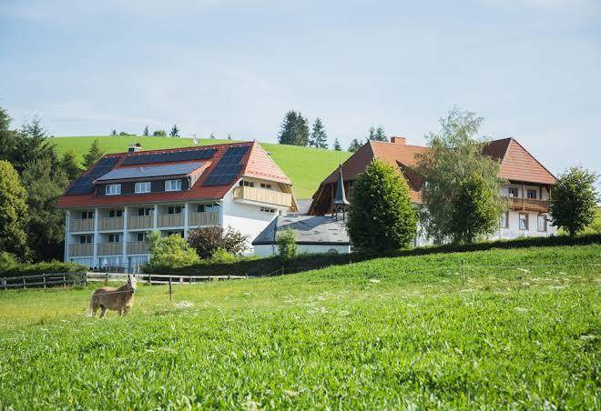 Neuhausle