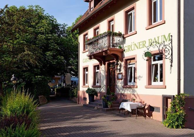 Gruner baum merzhausen