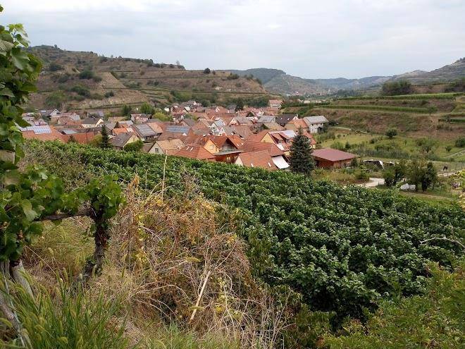 Haus hildegard engist