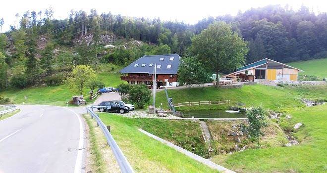 Haus rees