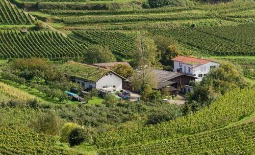 Schambachhof