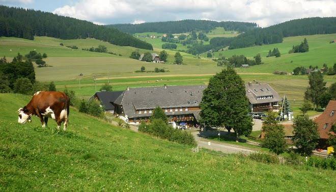 Schwarzwaldgasthof hotel zum lowen unteres wirtshaus