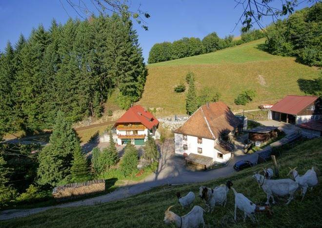 Steinmuhle