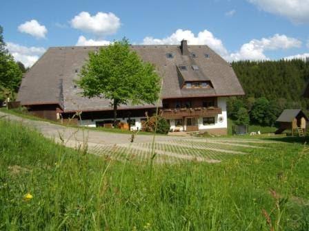 Urlaubsbauernhof kapfenmathishof