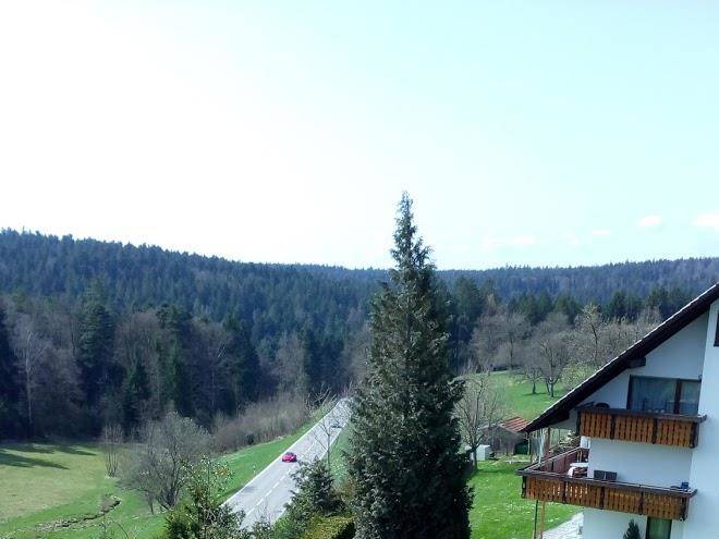 Gastehaus waldblick