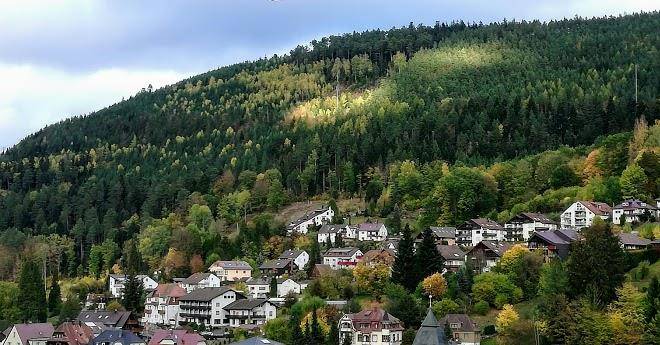 Hotel bergfrieden