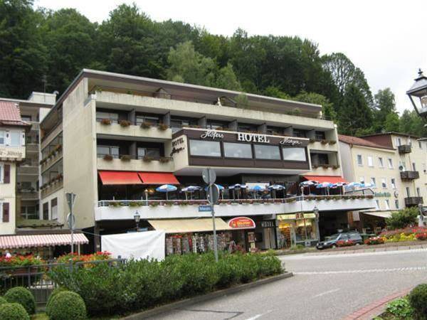 Hofers hotel harzer