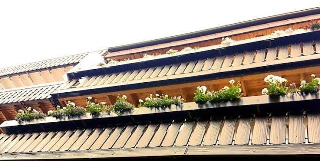 Silberburg bad wildbad hotel pension