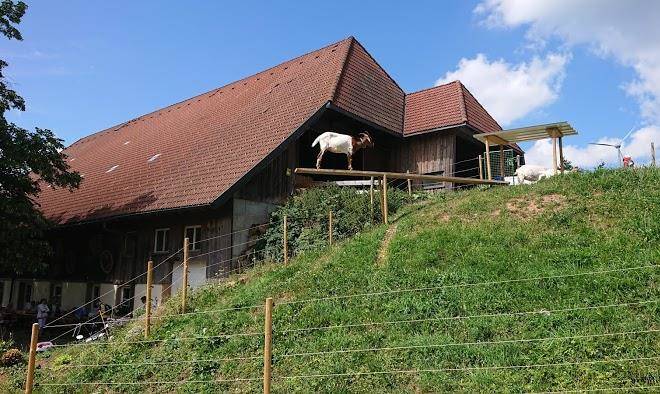 Gasthaus plattenhof