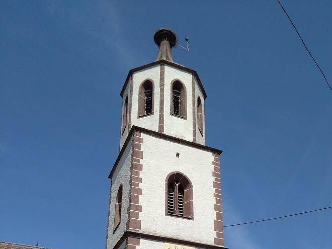 Rebstock Stube Image