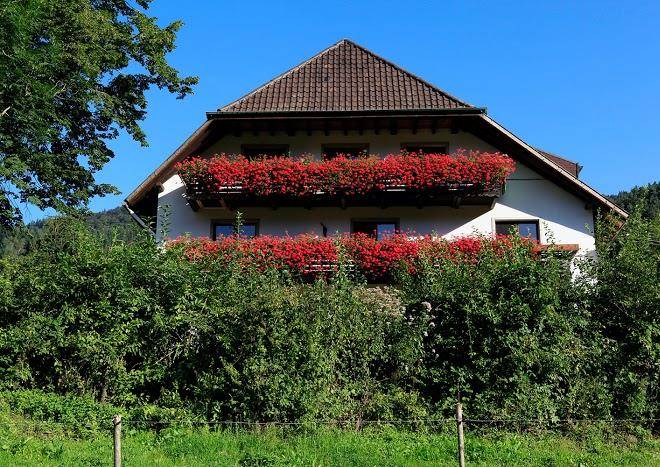 Urlaub im schwarzwald vitztinerhof