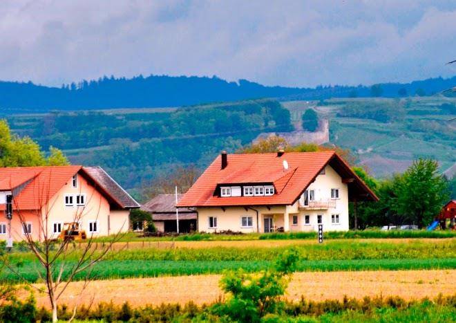 Weingut schatzle