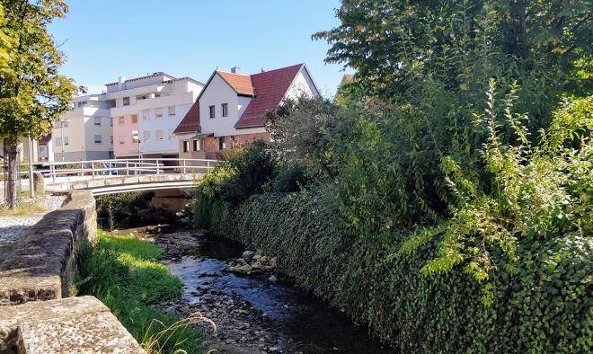 Gasthaus zum bock