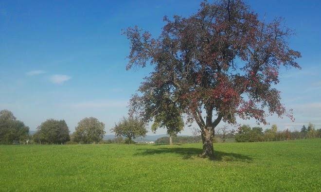 Freiburg Tolle Lage Image