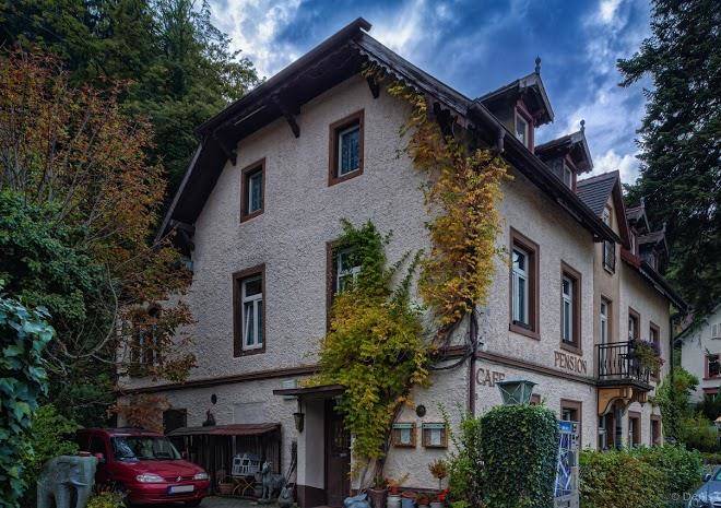 Gasthaus waldheim