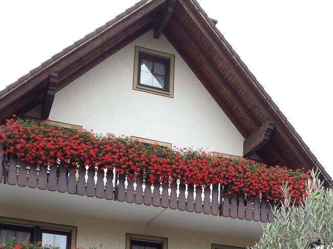 Thomas Weis E K Image