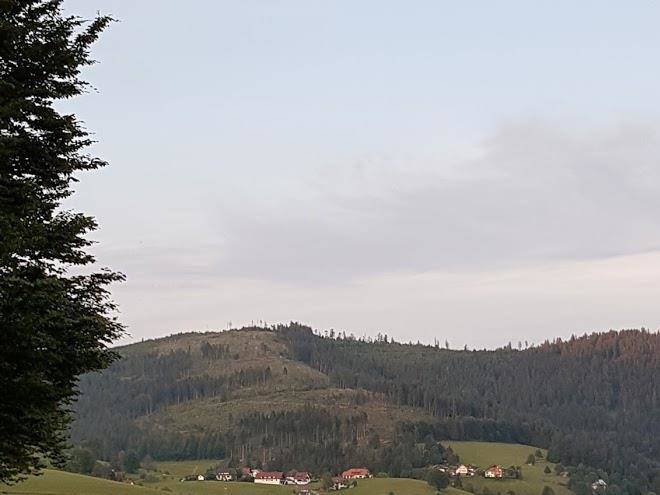 Ferienhaus frey