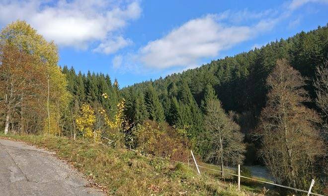 Gasthof zur forelle