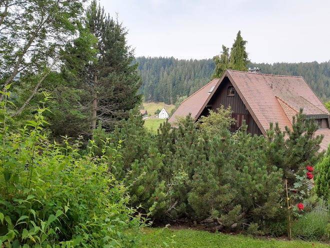 Haus john