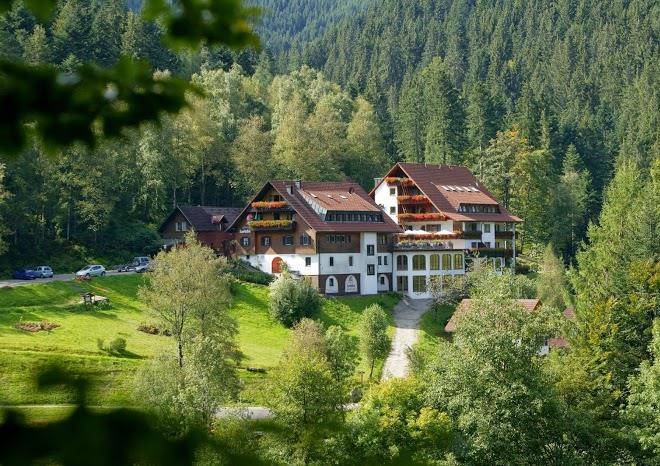 Hotel forsthaus auerhahn