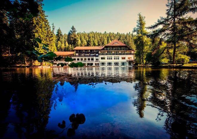 Hotel langenwaldsee