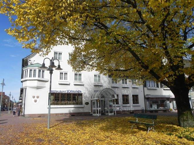 Hotel & restaurant schwanen freudenstadt