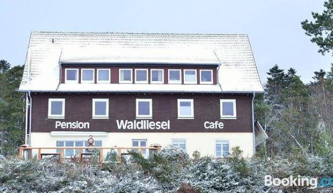 Waldliesel cafe
