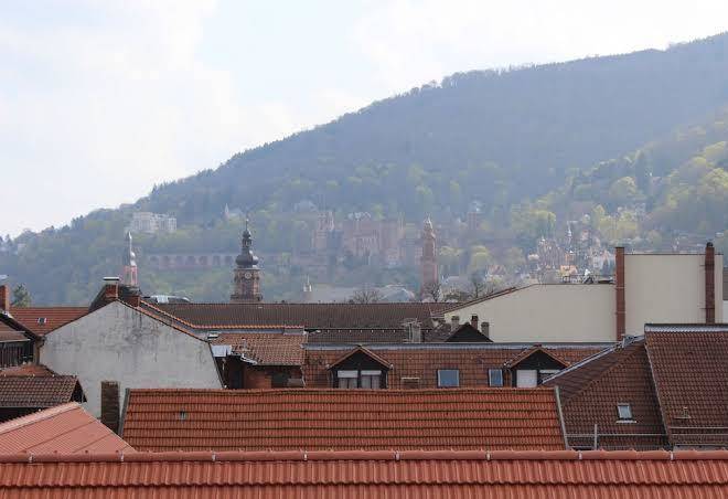 Luxury boarding suites by hotel bayrischer hof