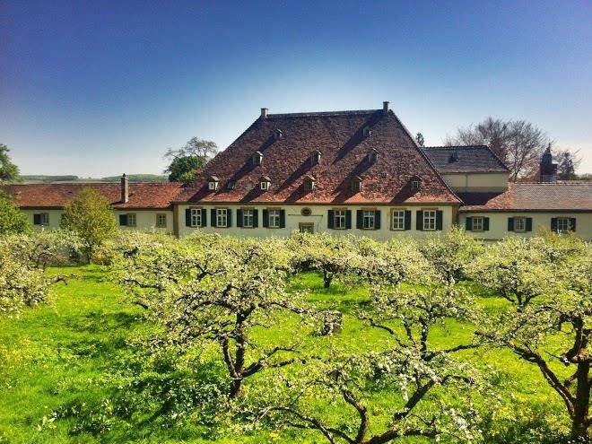 Hotel schloss heinsheim
