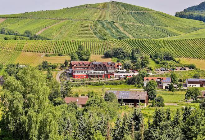 Hotel wo der hahn kraht