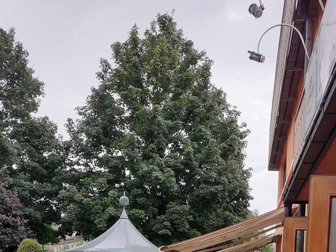 Hotel restaurant burgerstuble pfedelbach