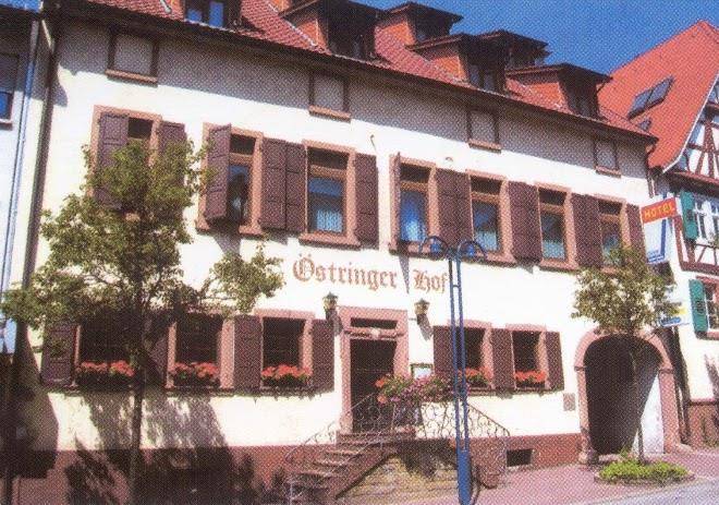 Hotel ostringer hof