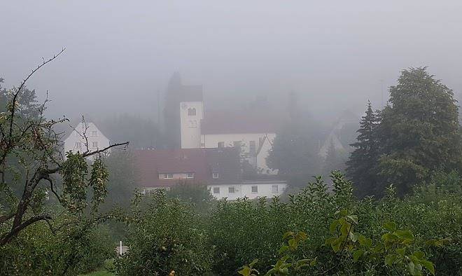 Haus kirschblute willi hurst
