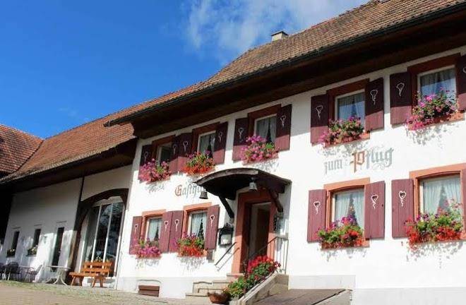 Hotel landgasthof zum pflug