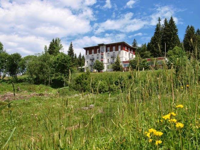 Waldhotel am notschreipass
