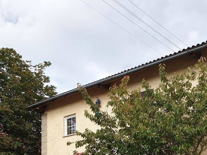 Ferienbauernhof wendelinshof