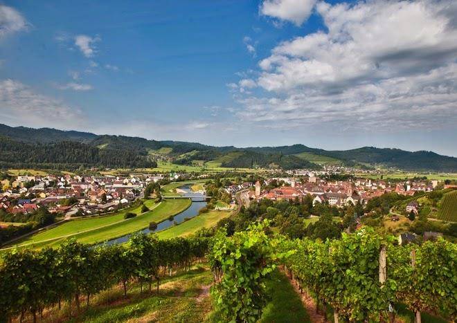 Der hirsch gengenbach