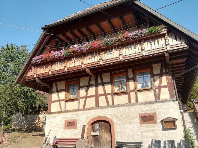 Erlebnisbauernhof kopf