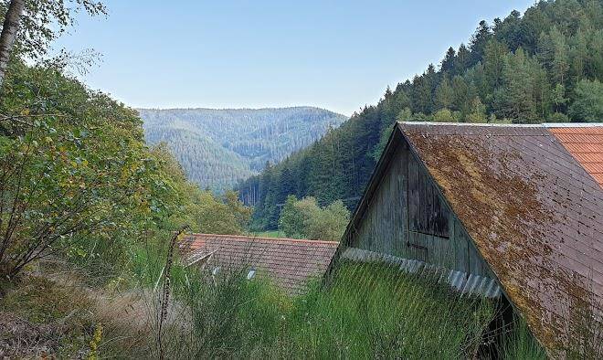 Ferienbauernhof hasenhof